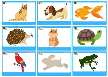 Pets Flashcards Use online or download PDF file  Free to use online. Free PDF download   Contains 11 downloadable flashcards Includes: dog, cat, goldfish, hedgehog, hamster, turtle, parrot, rabbit, frog, iguana, mouse, and canary
